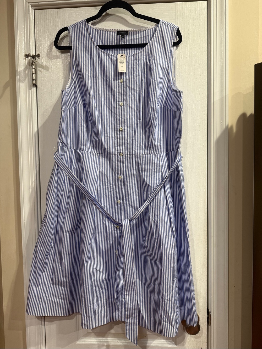 Talbots Blue and White Striped Sleeveless Button-Front Dress